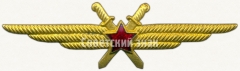Нагрудный знак военного летчика