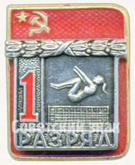 Знак «Прыжки на батуте. 1 разряд»