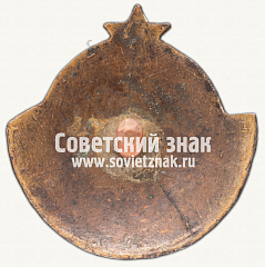 РЕВЕРС: Знак «Активисту-радиолюбителю» № 3291б