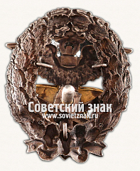 РЕВЕРС: Знак «Петроградские воздухоплавательные курсы. 1920» № 16864а