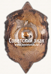 РЕВЕРС: Знак «ДОСААФ СССР «За активную работу»» № 13910г