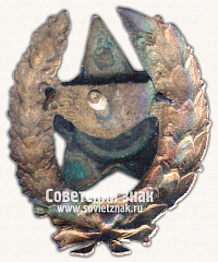 РЕВЕРС: Знак командира Рабоче-крестьянской Красной Армии. Тип 25 № 17145а