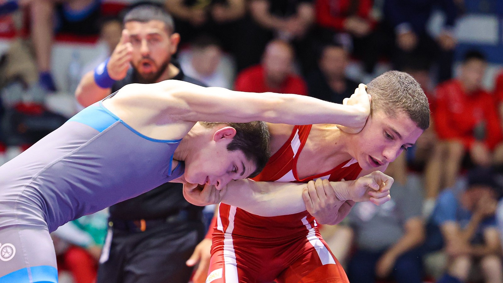 Чемпионат европы по спортивной борьбе. Борец. Первенство Европы в Албании.