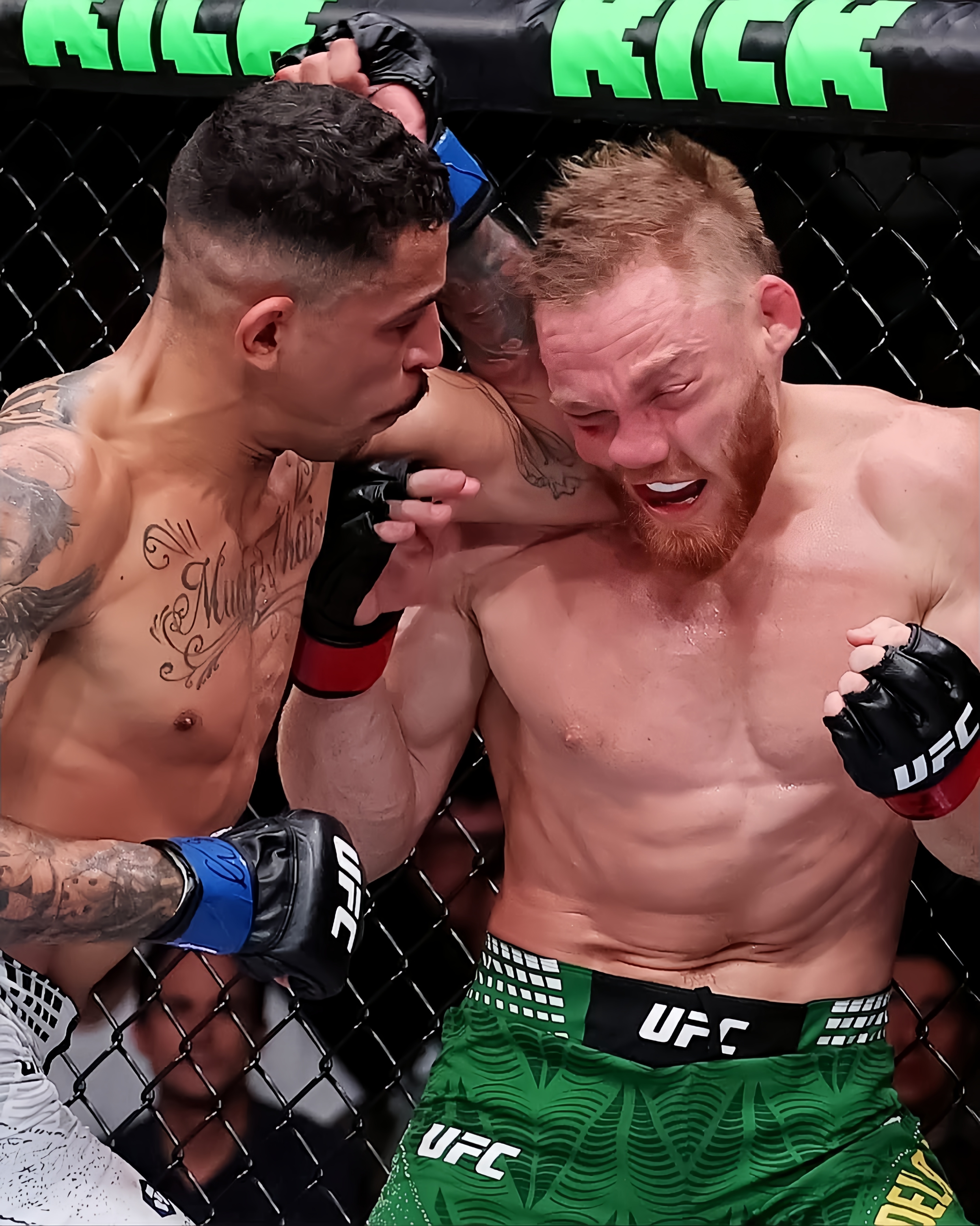 UFC