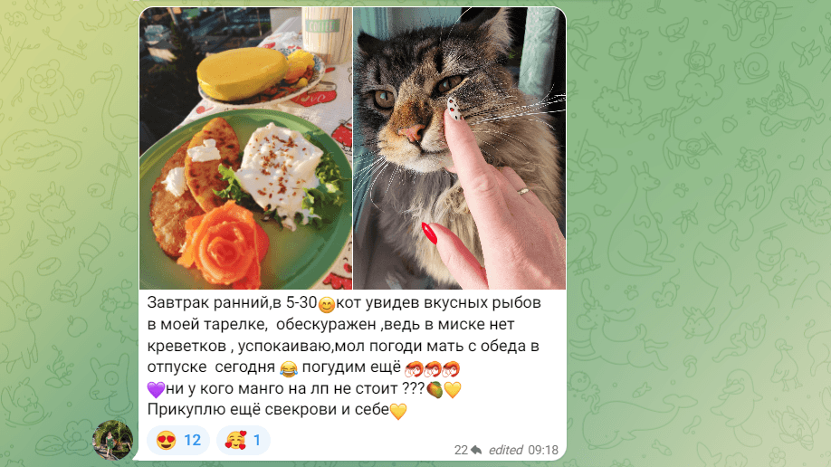 Например, утром пользователи делятся фотографиями своих завтраков