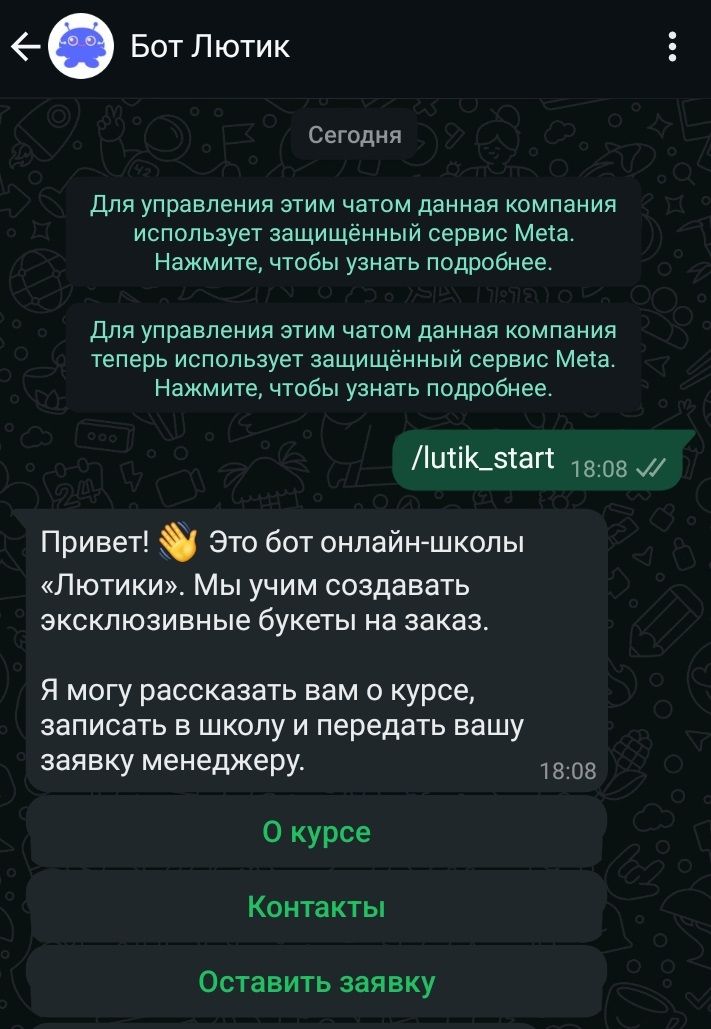 Чат-боты в WhatsApp: чем полезны для бизнеса и как настроить