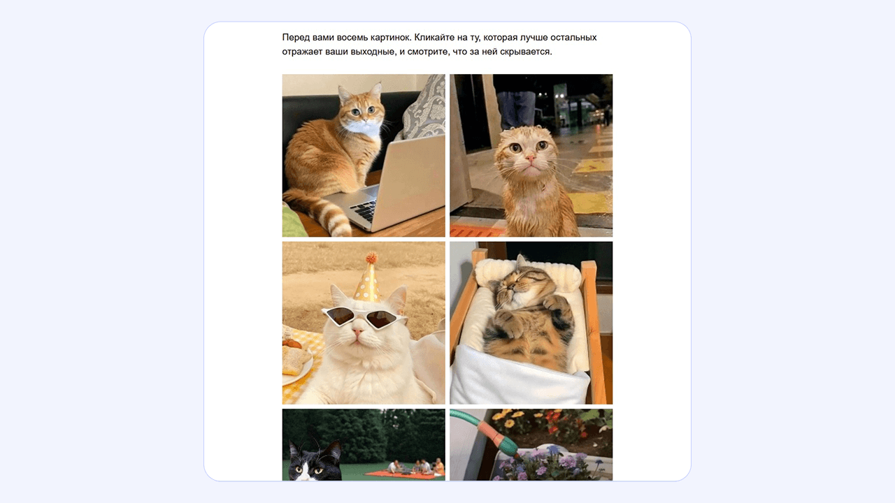 Фотографии сразу привлекают внимание читателя