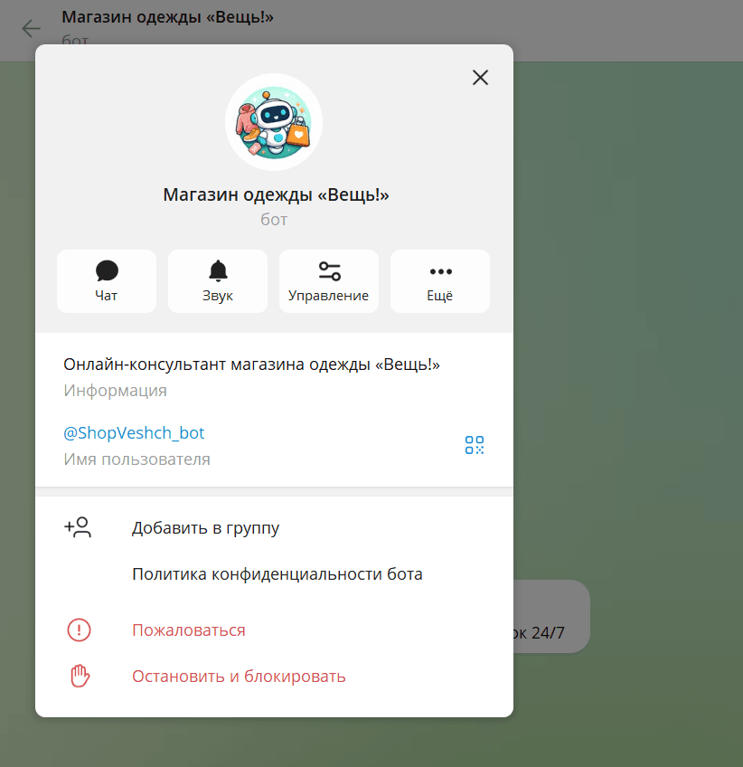 Профиль бота в Телеграм