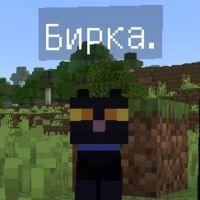 Бирка. 