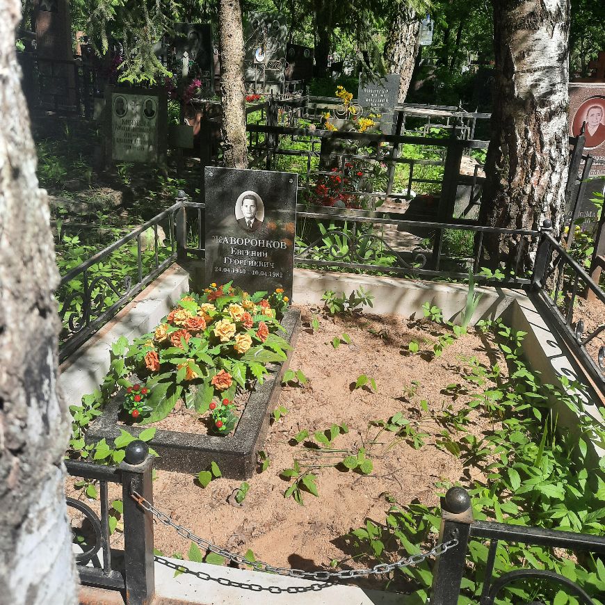 Жаворонков Евгений Георгиевич