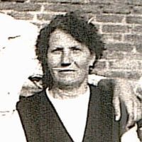 Маслиева (Дмитренко) Екатерина