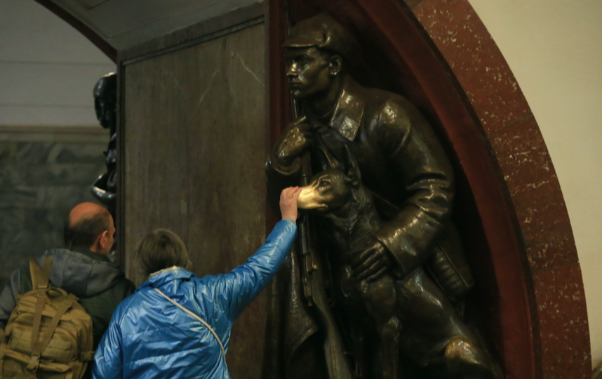 У всех четырёх собак на станции ярко блестят носы. Фото Василий Кузьмичёнок, "Metro"