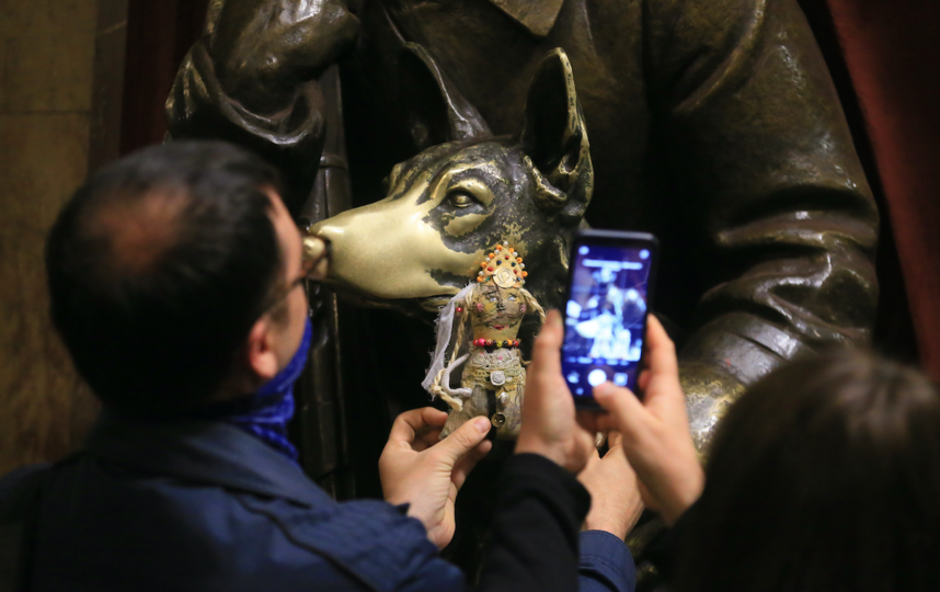 У всех четырёх собак на станции ярко блестят носы. Фото Василий Кузьмичёнок, "Metro"