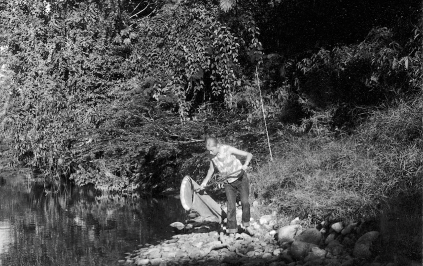 Джулиана до авиакатастрофы постоянно находилась в перуанском лесу. Одним из её любимых занятий была ловля бабочек. В будущем она напишет о бабочках дипломную работу. Фото предоставила Juliane Diller, "Metro"
