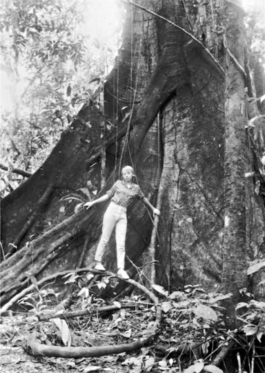 Джулиана Кёпке не испугалась вернуться в тропический лес уже на следующий год после авиакатастрофы. Фото предоставила Juliane Diller, "Metro"