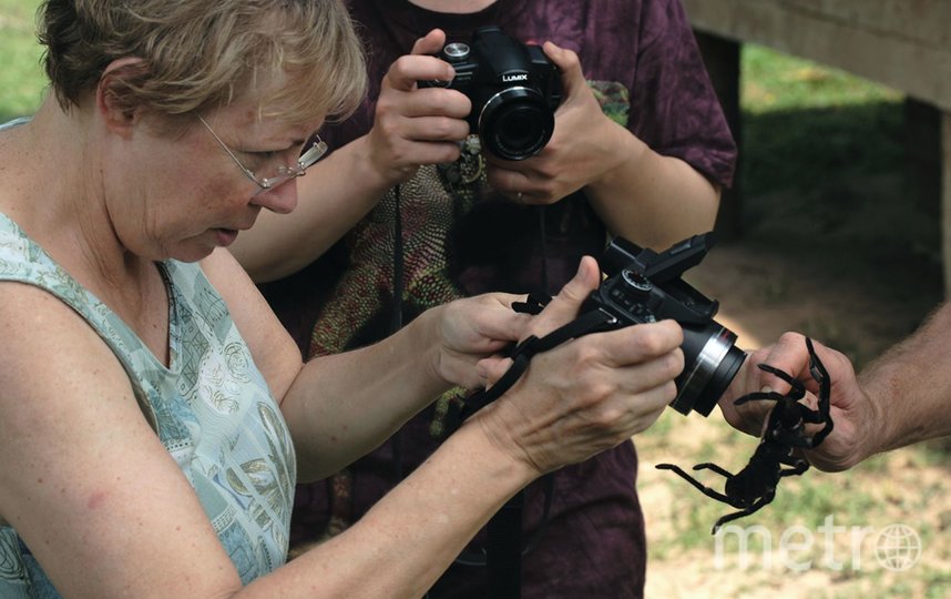 Джулиана фотографирует тарантула. Фото предоставила Juliane Diller, "Metro"