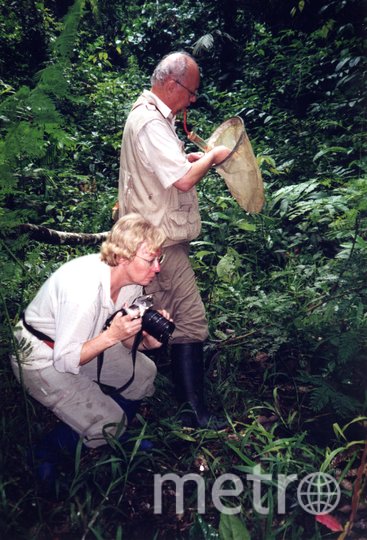 Джулиана и её муж Эрих на биостанции Panguana, ищут насекомых. 2000 год. Фото предоставила Juliane Diller, "Metro"