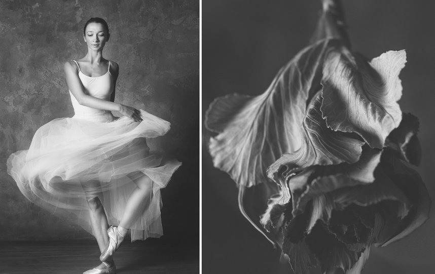 Мир восхитился русским фотопроектом "Балерина и цветы"