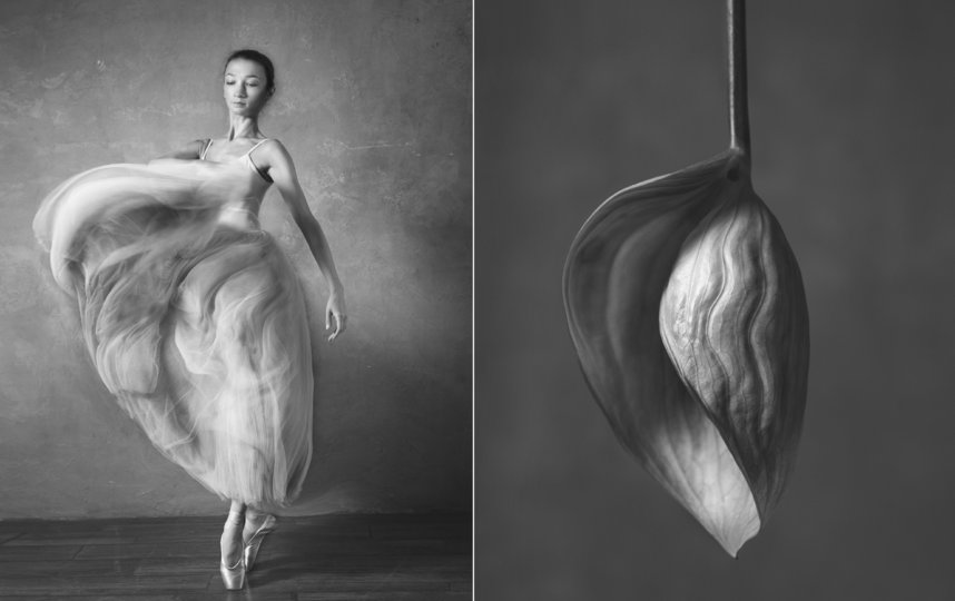 Балерина и цветы. Фото Юлия Артемьева