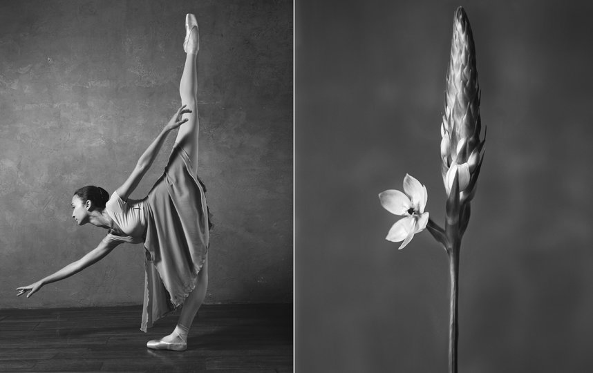 Балерина и цветы. Фото Юлия Артемьева