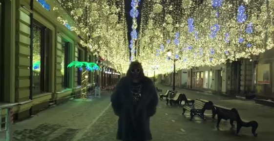 Сергей Зверев. Фото Скриншот instagram.com/zverevsuperstar/