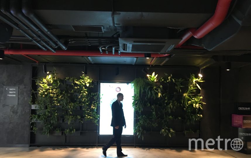 Подземные ходы. Фото Дарья Буянова, "Metro"