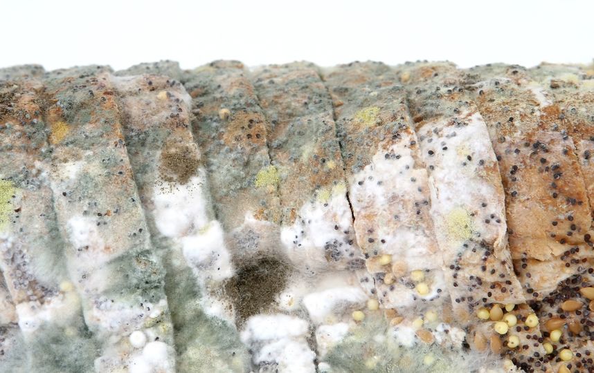 В мягкой пище плесени, развившейся на одном участке, легче проникнуть в другие части продукта. Фото Pixabay