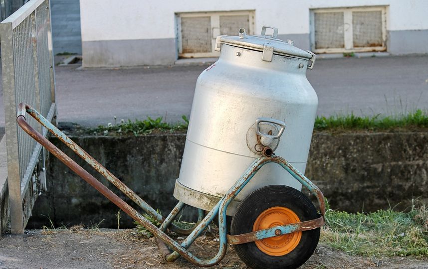 Условия и длительность хранения молока зависят от способа обработки. Фото Pixabay