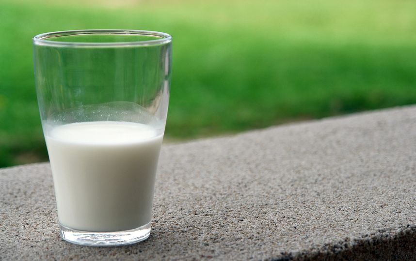 Пастеризованное, стерилизованное или фермерское: как правильно выбирать молоко