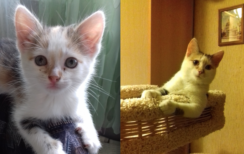 Муся! Нам еще 1 год,но мы очень выросли за это время!!! Фото Елена