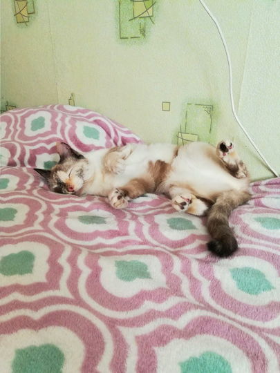 Ася. Фото Александра