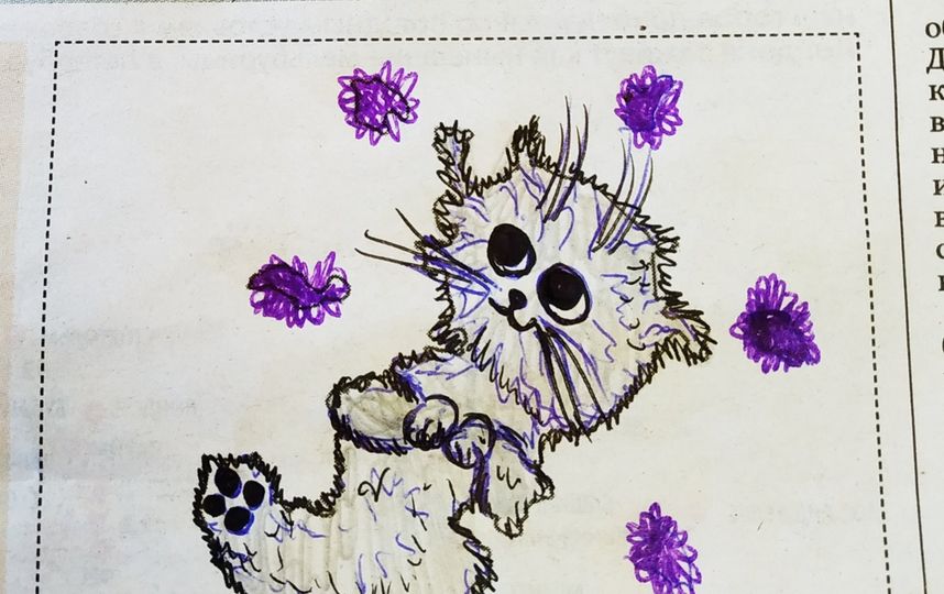 "Странный недокот по кличке Москва". Фото Елена.