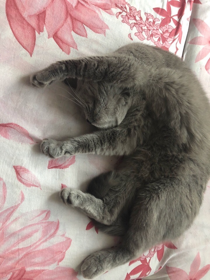 Дуся. Фото Анастасия