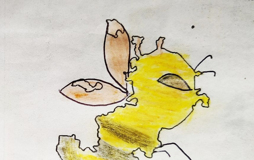 "Москвичи много работают. Контуры самой Москвы напомнили мне большую трудолюбивую пчелу". Фото Ирина Жидких