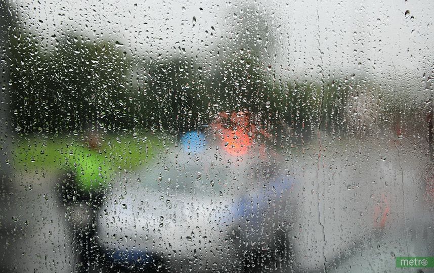 Синоптики: Жара в Москве будет сопровождаться дождями и грозами