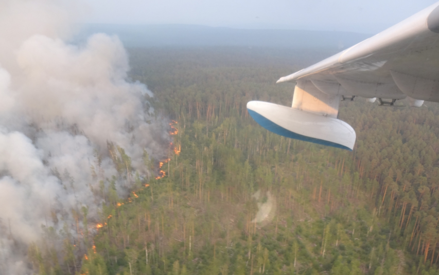 СК РФ возбудил уголовное дело в связи с лесными пожарами в Сибири