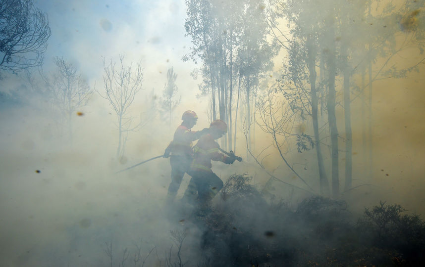 Пожар в Португалии. Фото AFP