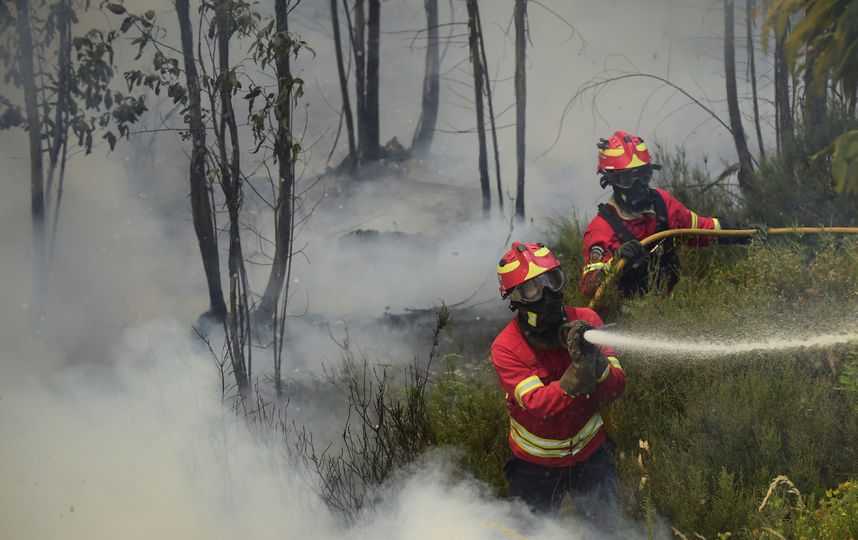 Пожар в Португалии. Фото AFP