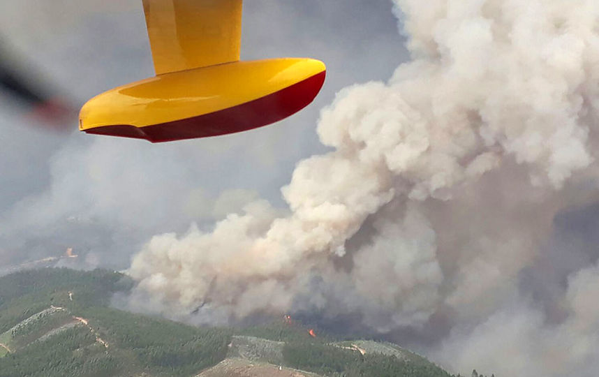 Пожар в Португалии. Фото AFP