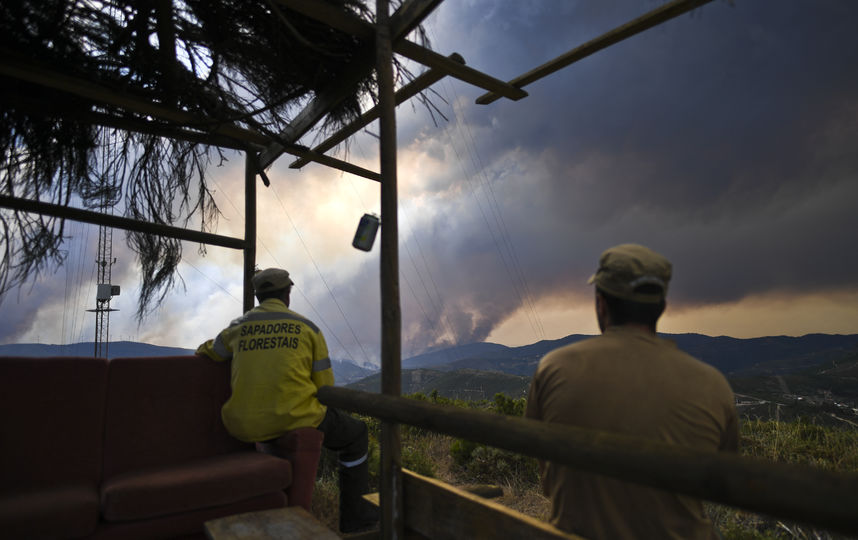 Пожар в Португалии. Фото AFP