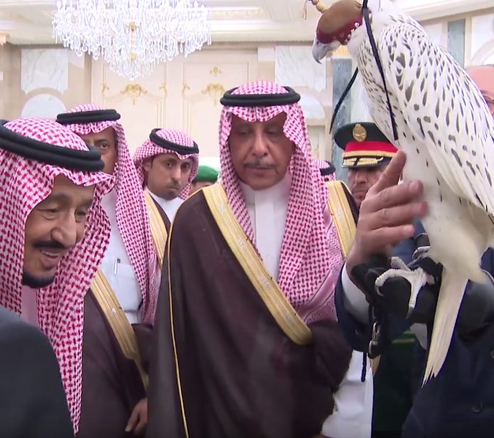 Владимир Путин подарил королю Саудовской Аравии Сальману бен Абдель Азизу Аль Сауду камчатского кречета. Фото скриншот https://www.youtube.com/watch?v=HSDjdrTjm2o, Скриншот Youtube