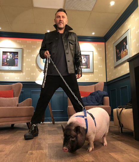 4. Ленинград. Фото Скриншот Instagram: shnurovs