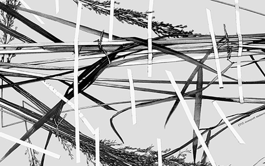 7. Засушенному – верить. Фото Предоставлено организаторами