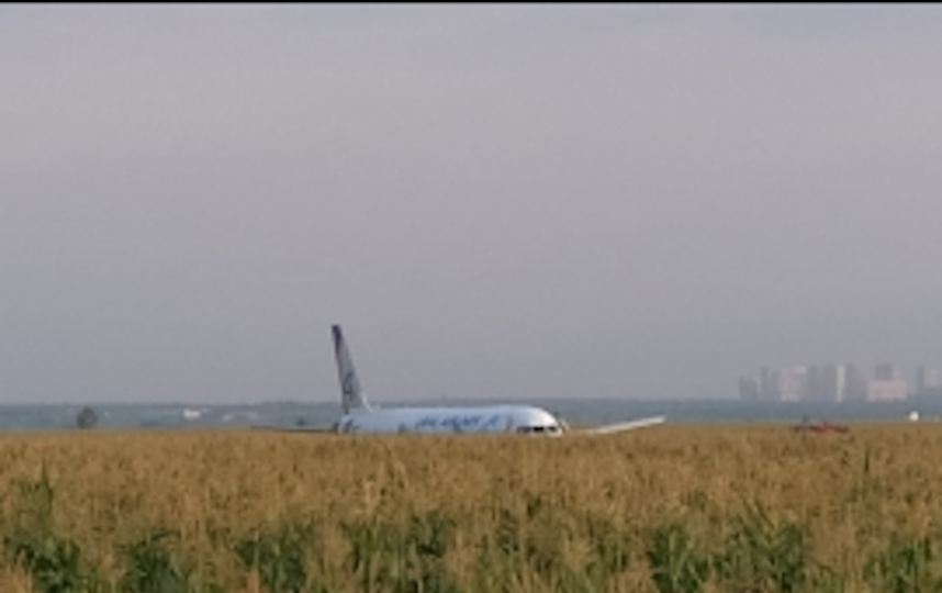 Место ЧП. Фото МЧС РФ по Московской области