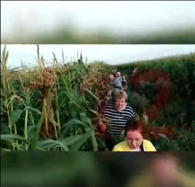 Место ЧП. Фото скриншот https://vk.com/te_ekb