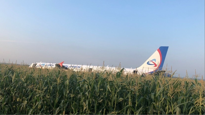 Airbus A-321 совершил аварийную посадку в кукурузном поле в Подмосковье: Подробности, фото и видео
