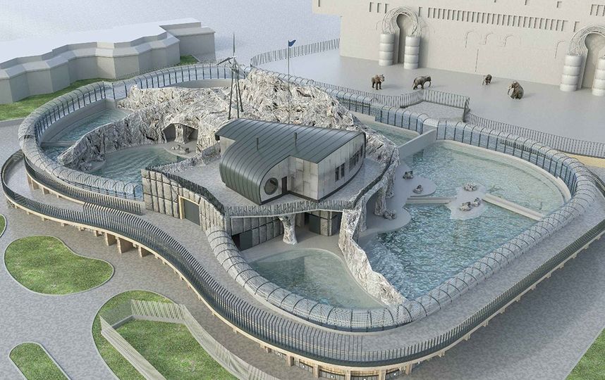 В столичном зоопарке построят новый павильон для моржей и котиков