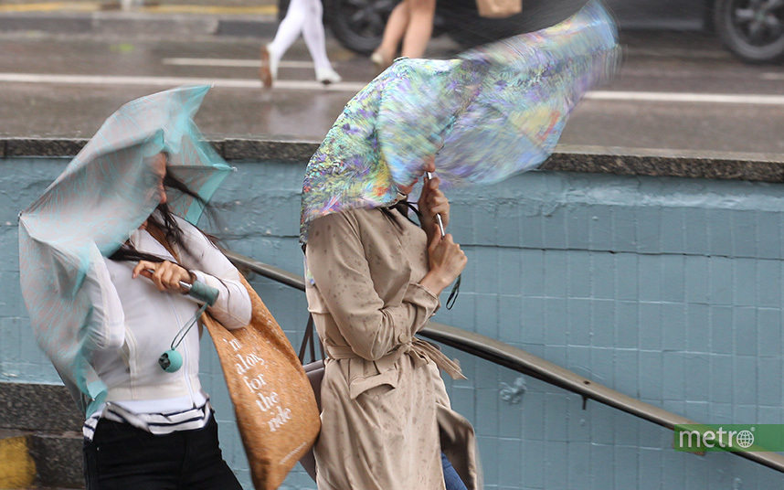 При грозах ветер усилится в порывах 12-17 м/с. Фото Василий Кузьмичёнок