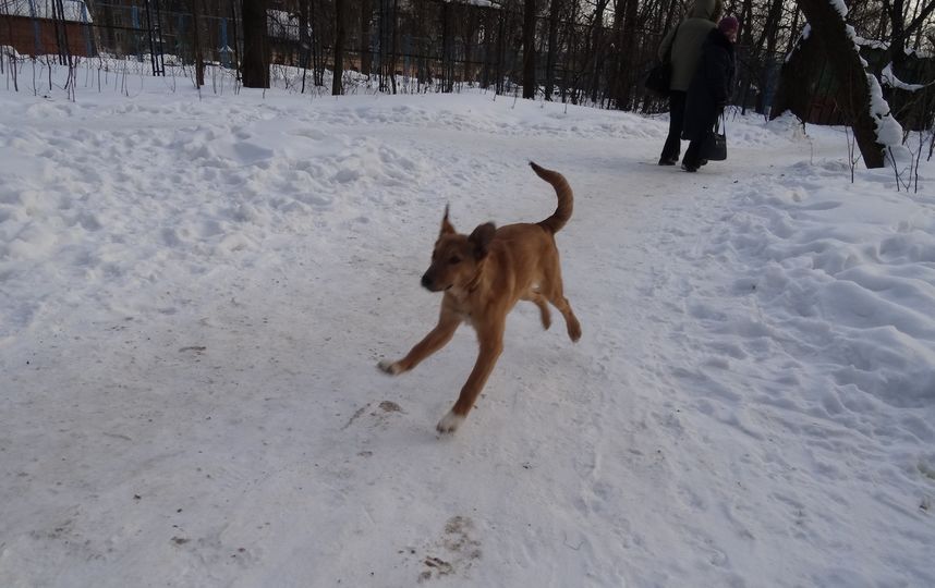 Из семейного архива. Фото предоставила семья Сорокиных