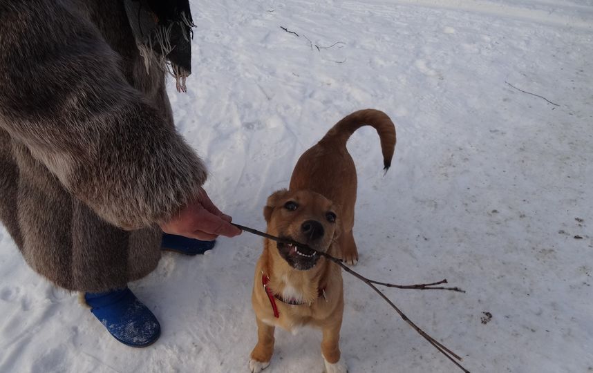Из семейного архива. Фото предоставила семья Сорокиных
